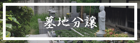 墓地分譲